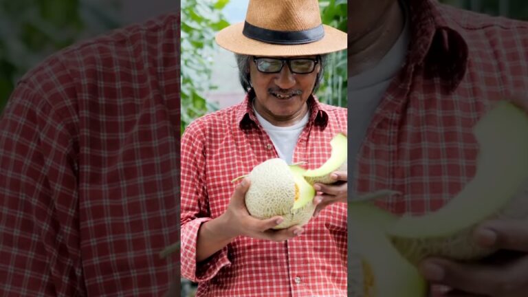 Lana de roca: Opción saludable y ecológica para tu hogar