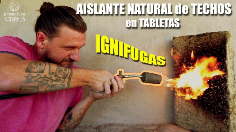 Inicio
