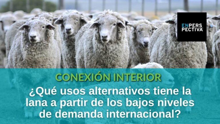 Aislamiento Ac&uacute;stico Efectivo con Lana de Roca en Construcci&oacute;n