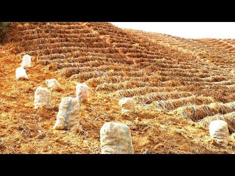 Mejorando la Calidad de Vida Sostenible con Lana de Roca en Construcci&oacute;n Tradicional