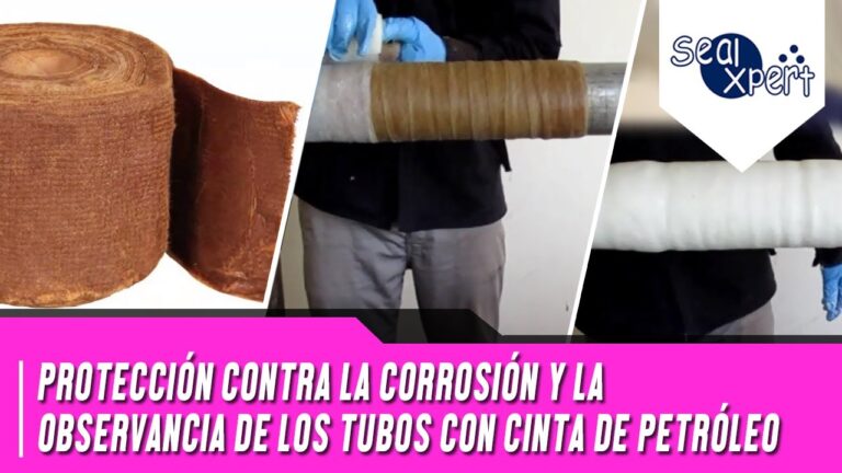 Inicio