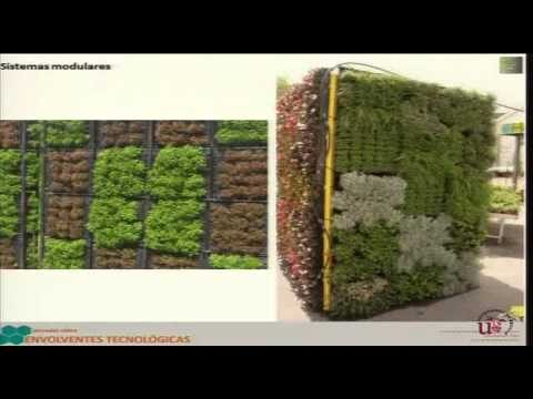 Construcci&oacute;n Responsable con Techos Ecol&oacute;gicos